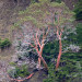 IMGP2058 thumbnail