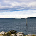 IMGP2329 thumbnail