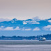IMGP2463 thumbnail